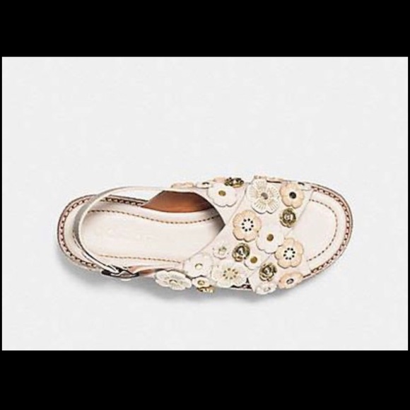 Coach Wedge Shoes - Picture 5 of 6